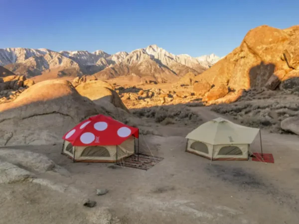 Kinoko Mushroom Tent