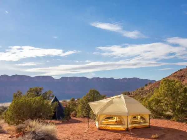 Kinoko Mushroom Tent