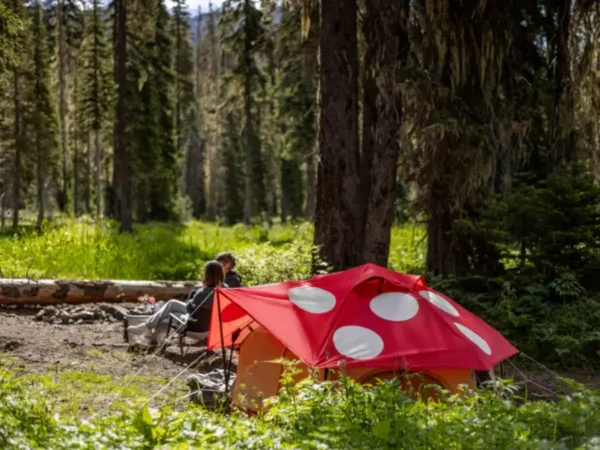 Kinoko Mushroom Tent (S) (8) Kinoko Mushroom Tent (S)