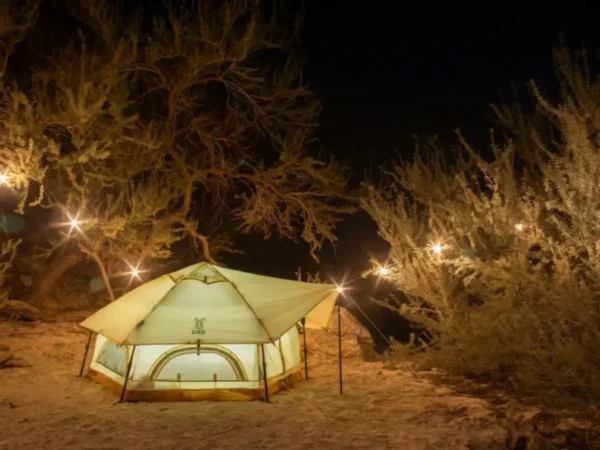 Kinoko Mushroom Tent (S) (9) Kinoko Mushroom Tent (S)